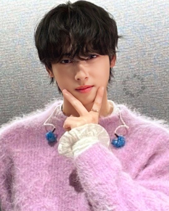 cha eun woo