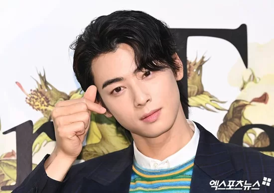 cha eun woo