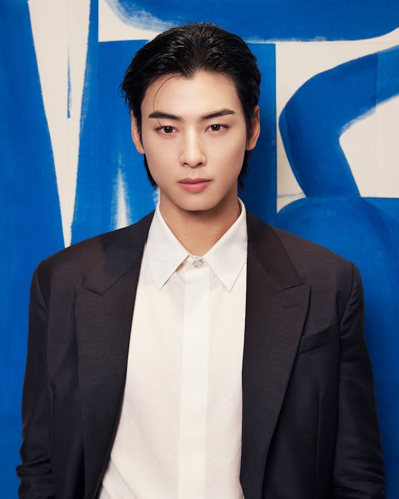 cha eun woo