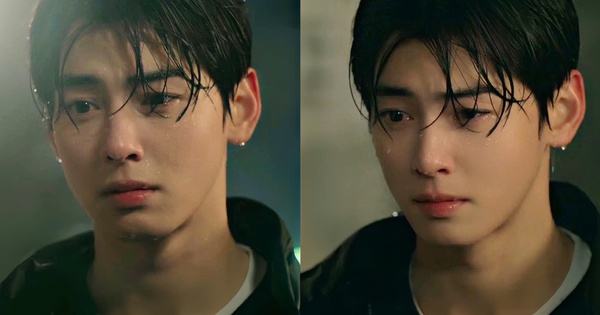 cha eun woo