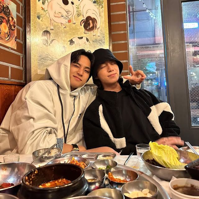 mingyu jungkook
