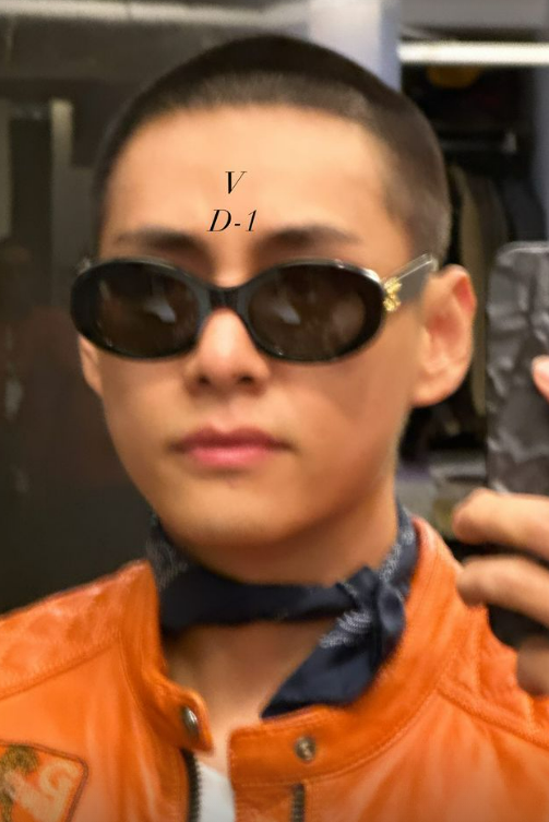 bts v