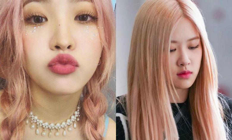 rosé yeri