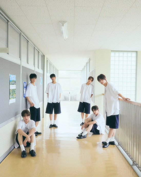 pledis