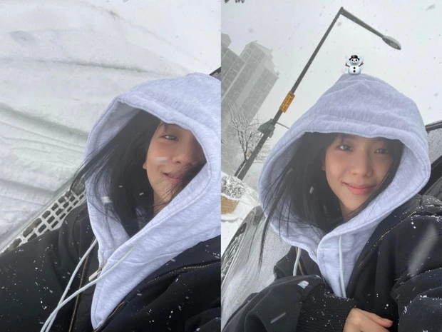 jisoo blackpink