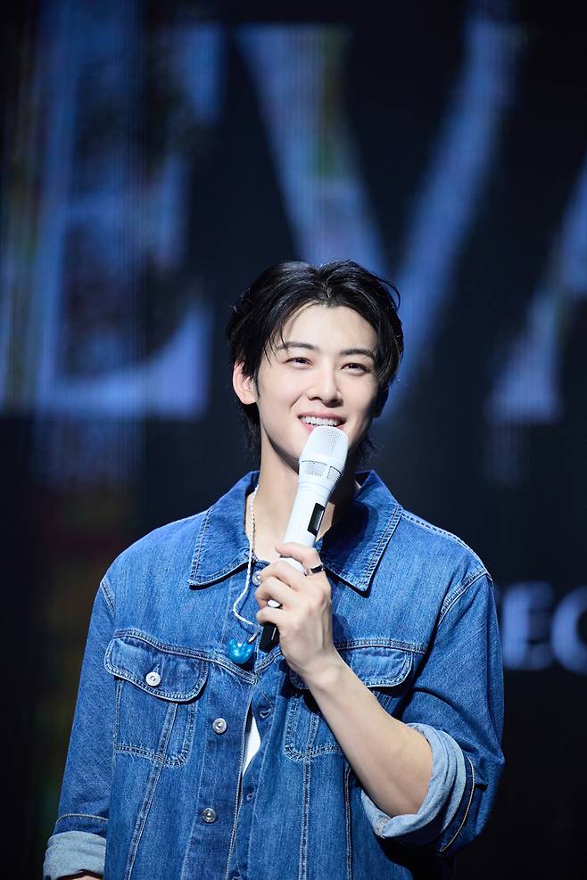 cha eun woo