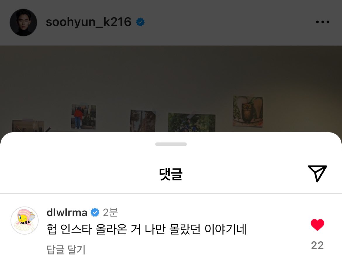 iu coment kim soo hyun post