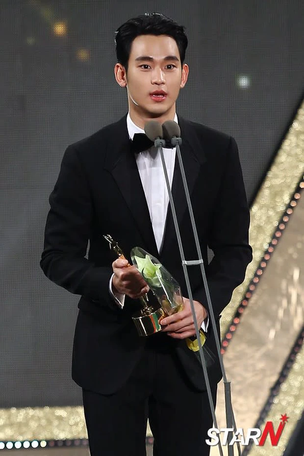 kim soo hyun-kbs drama awards 2015