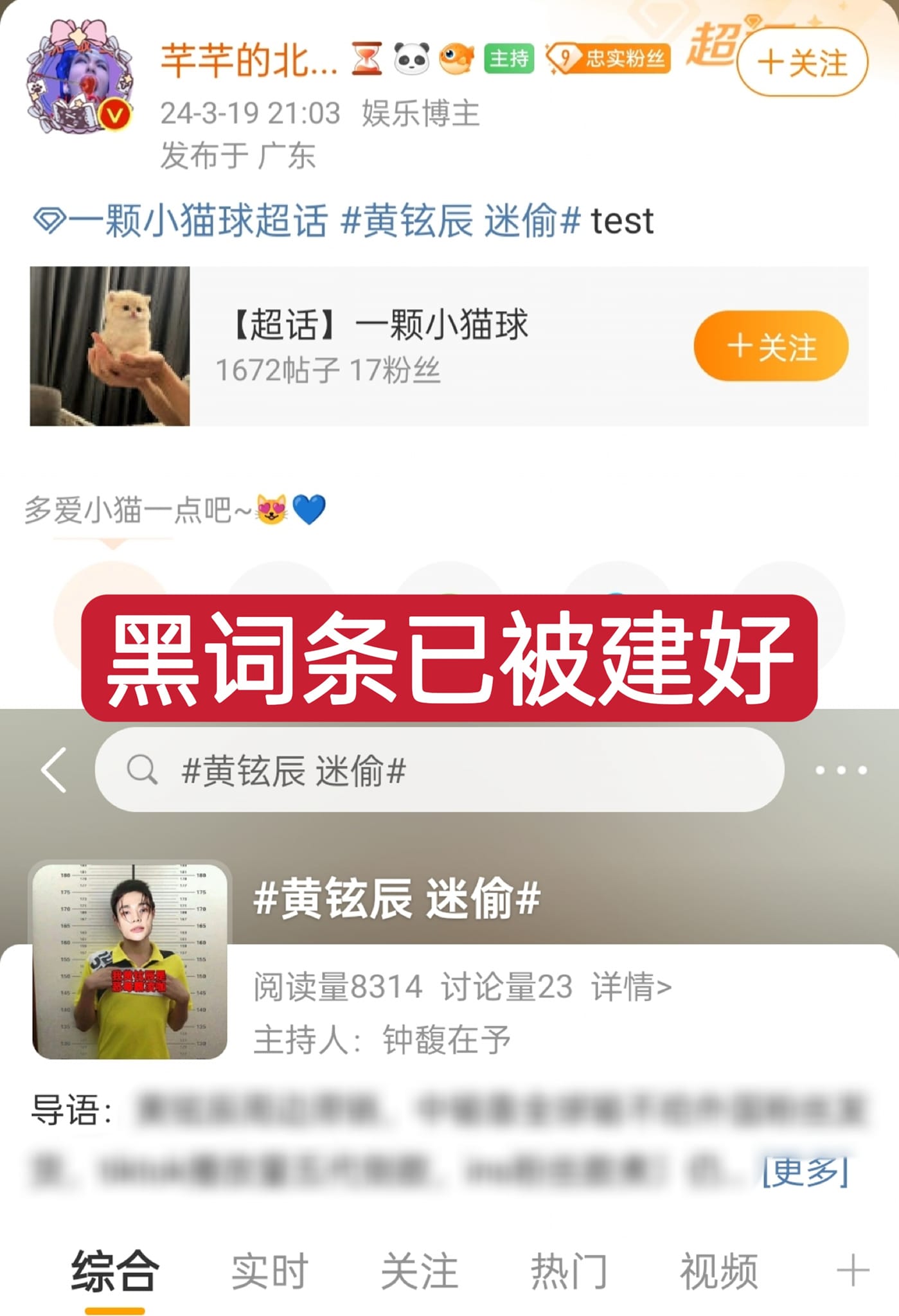 fan chinese-weibo felix