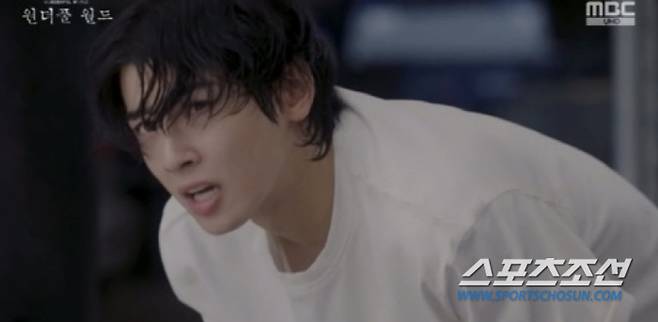 cha eun-woocha eun-woo