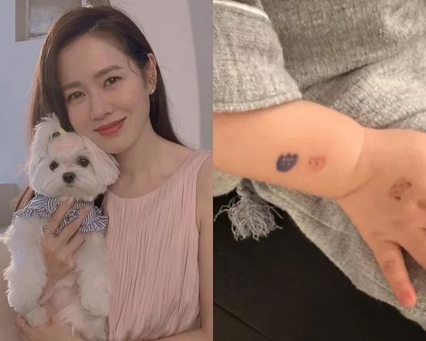 son ye jin