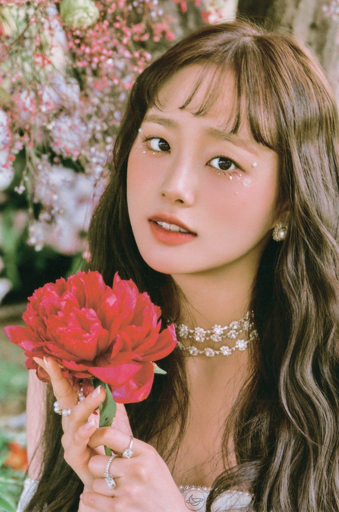 chuu