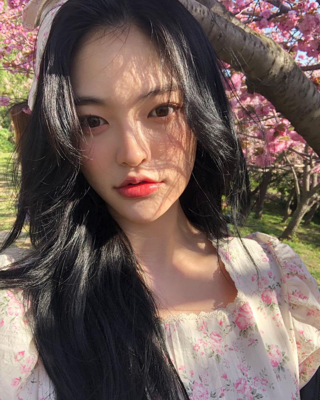 DIA Somyi