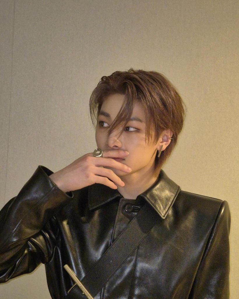 stray kids-i.n