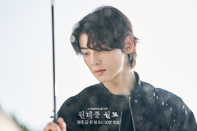 Wonderful World Cha Eun-woo