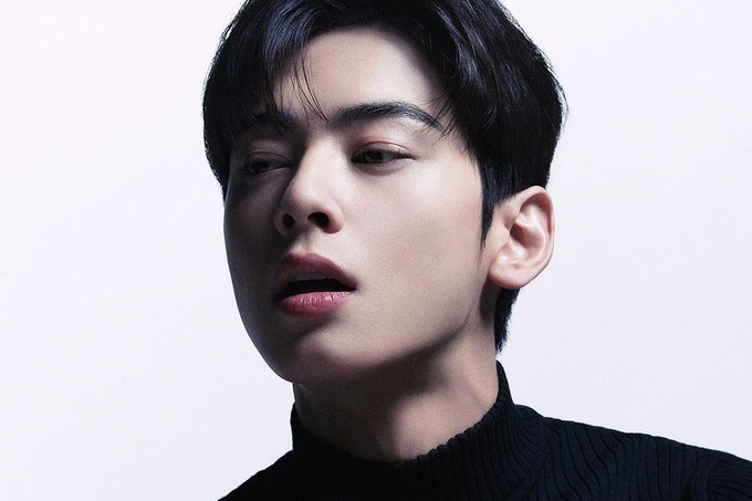 cha eun woo-thumbnail