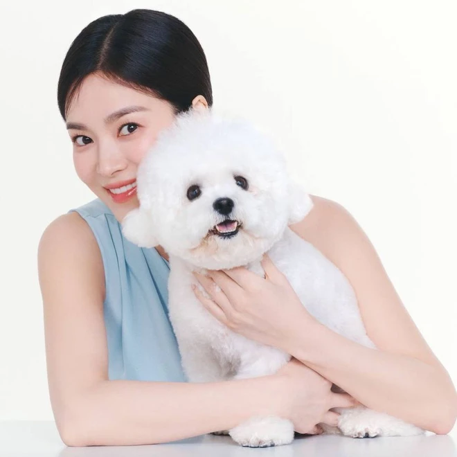 song hye kyo