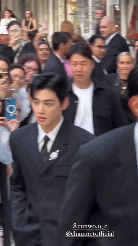 cha eun woo