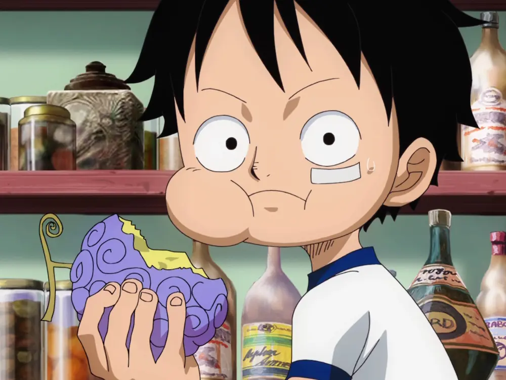 one piece luffy Devil Fruit