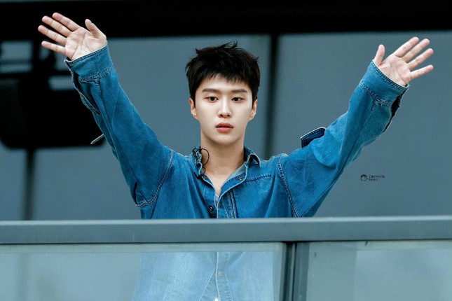 fan chengcheng 