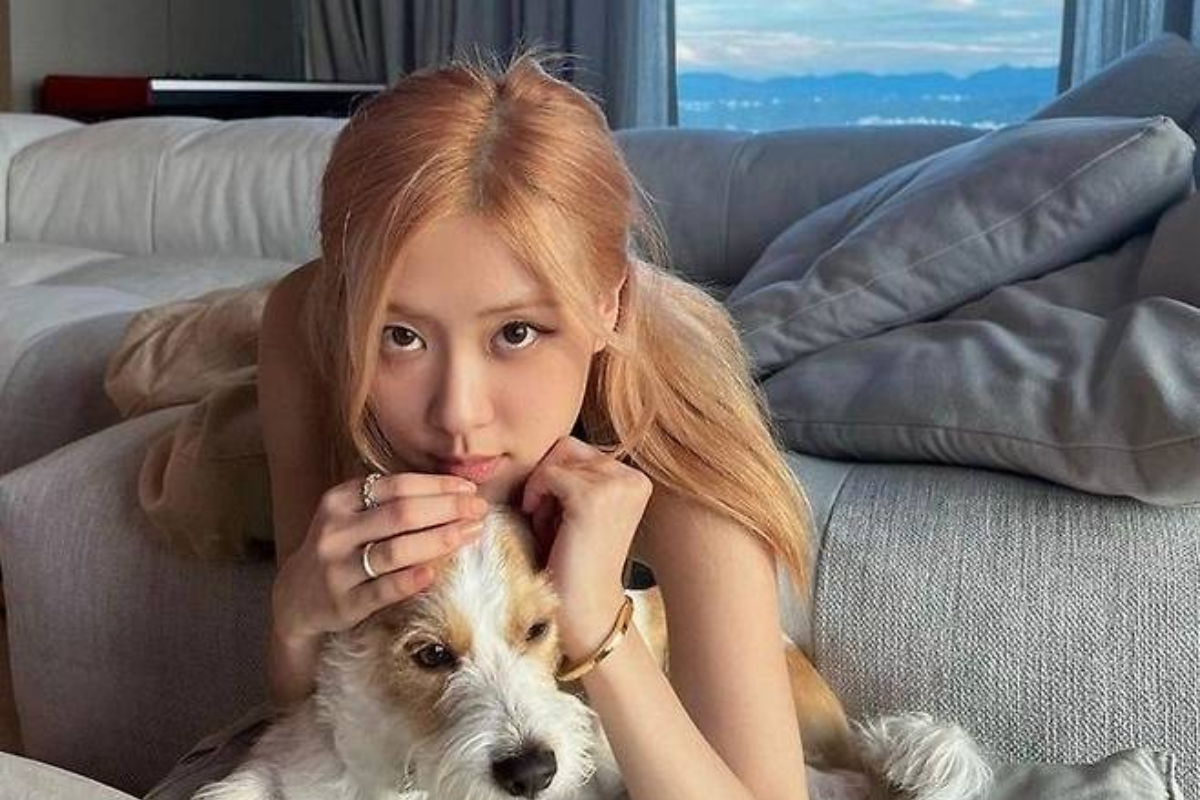 rose blackpink thumbnail