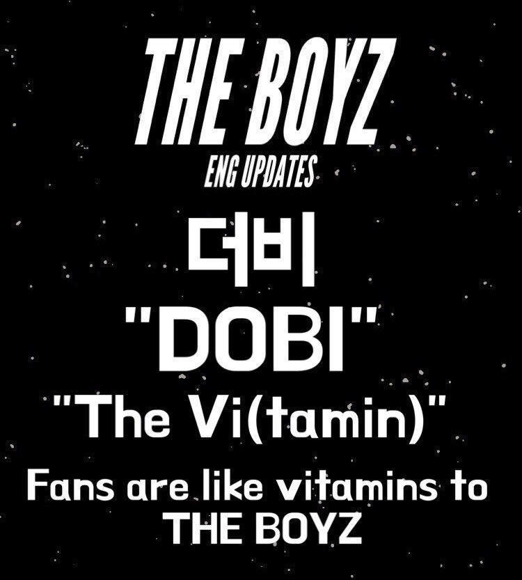 the-boyz-fandom-name