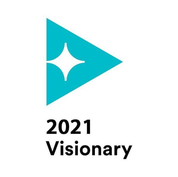 visionary