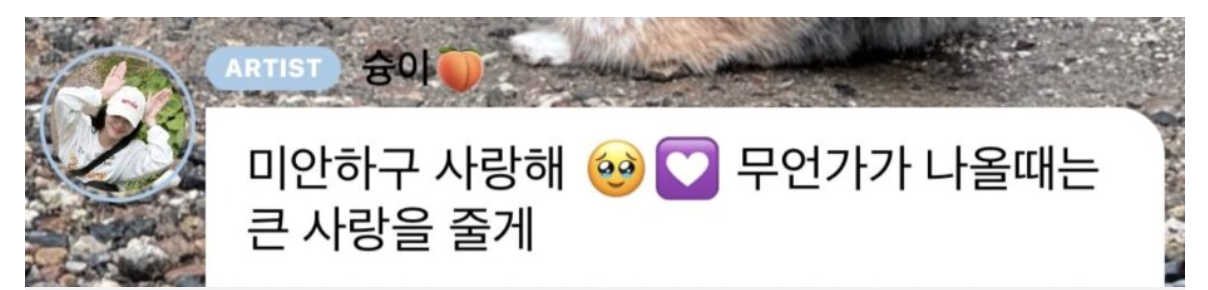 Jisoo (BLACKPINK) apologize for Amor Montage Teaser