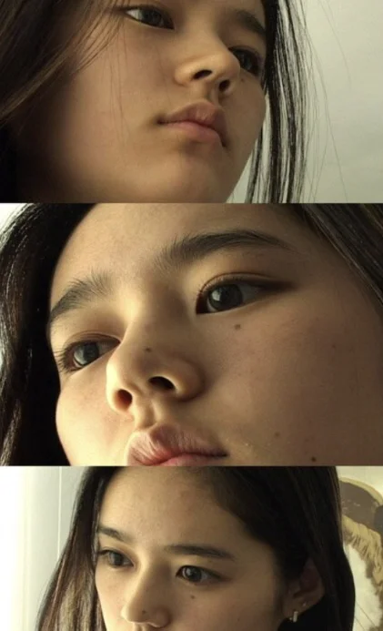 Han ga in
