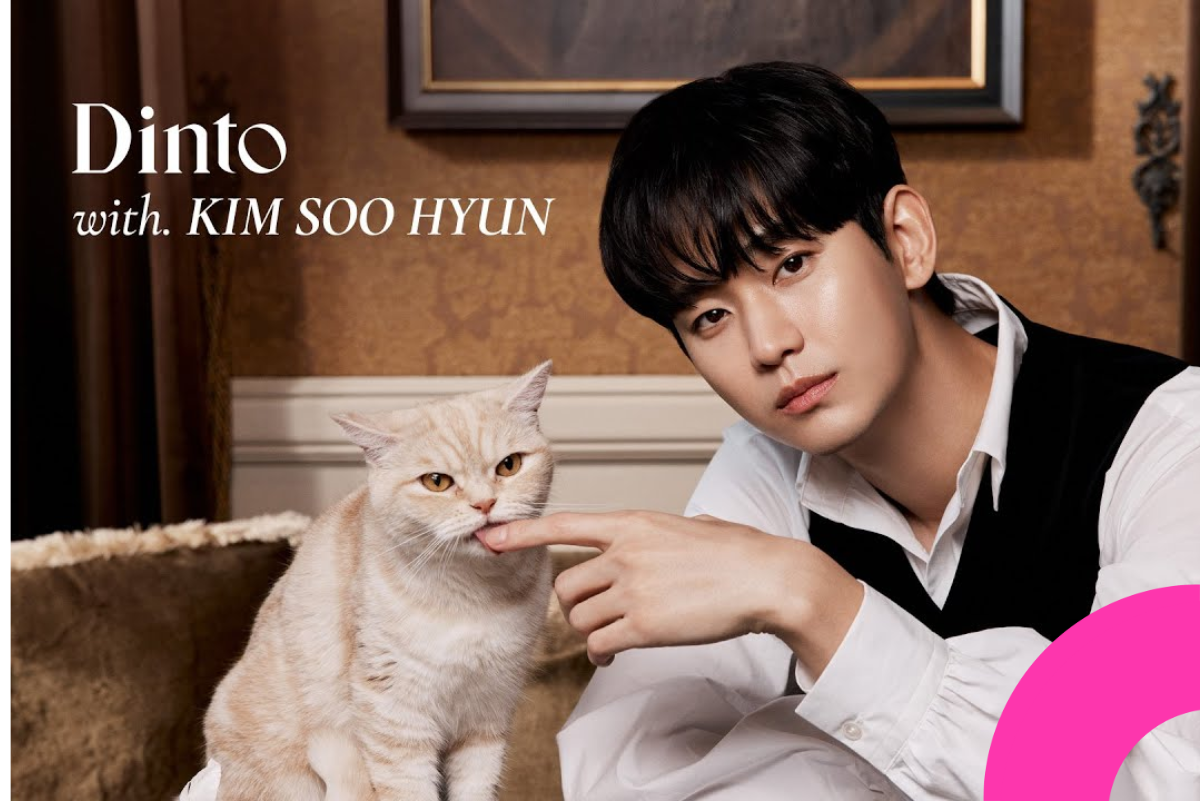 kim soo hyun