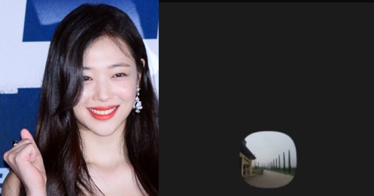 Sulli’s Brother thumbnail
