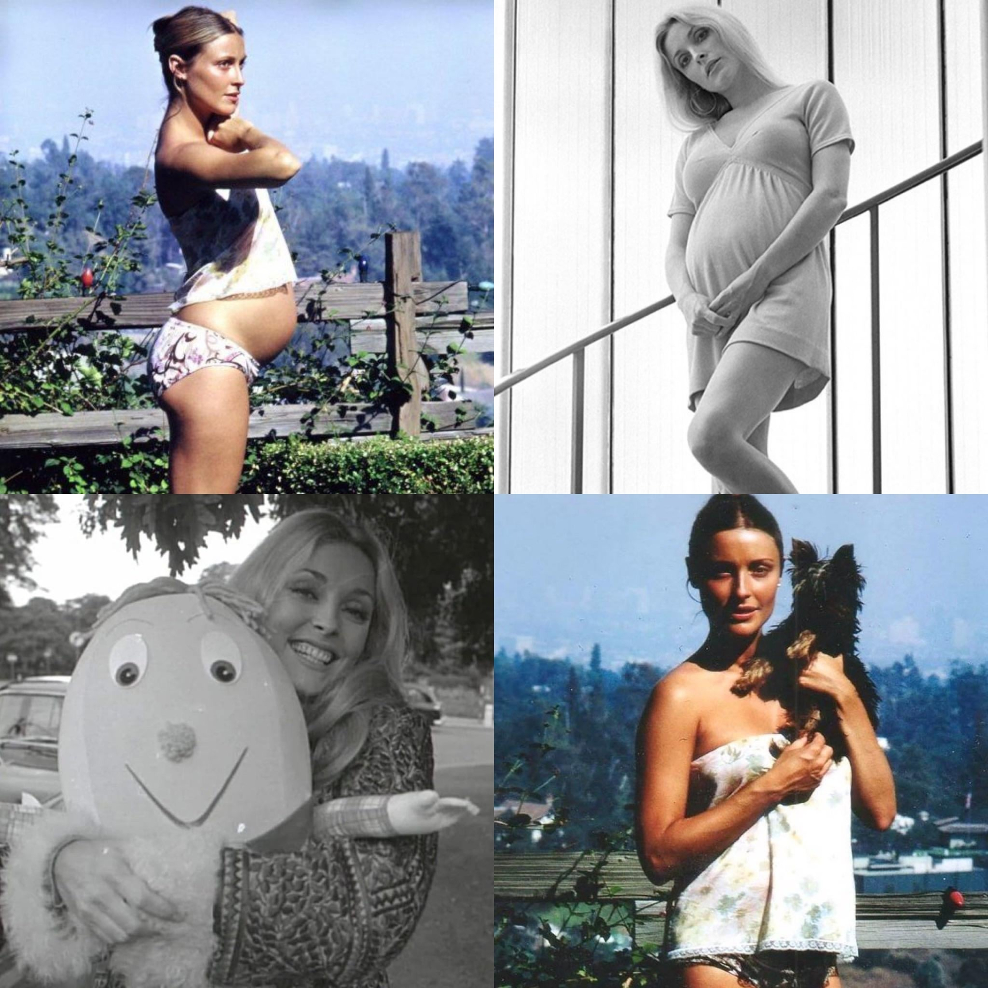 Sharon Tate The 8-Month Pregnant Hollywood Star Whose Murder Changed an Era 2