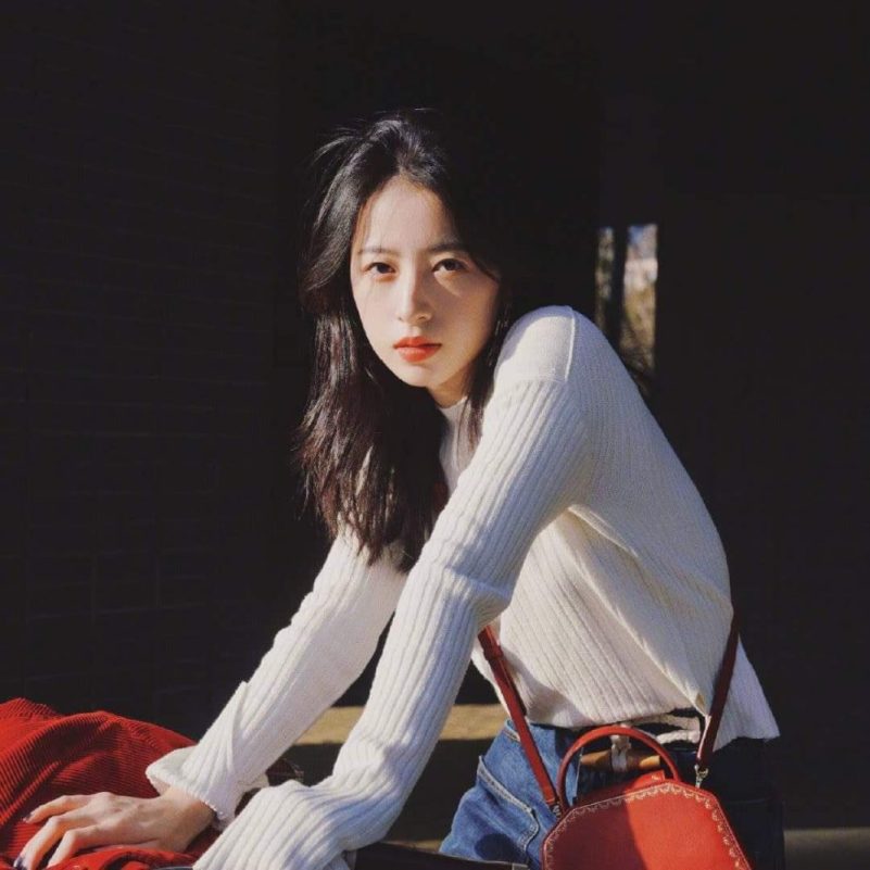xiao zhan unlimited spy dramaPortrait-Woman-Sweater-RedBag.