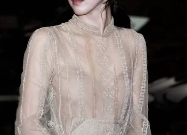 han so-hee dior masterpiecewoman-sheer-dress-lace.