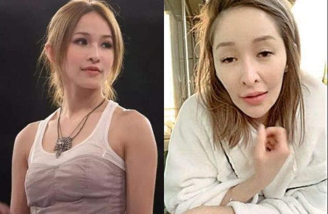 elva hsiao dog bite face surgerywoman-makeup-comparison-casual.