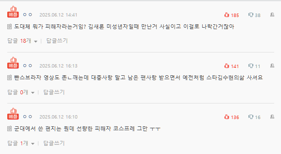 kim soo-hyun cyber wrecker victimcomments-Korean-online-date.