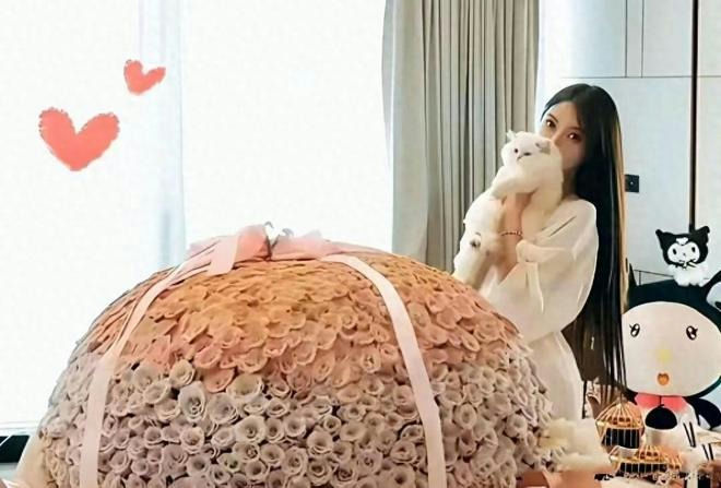 Huang Xiaoming Angelababy Paris reunionwoman' 'roses' 'cat' 'plushie.