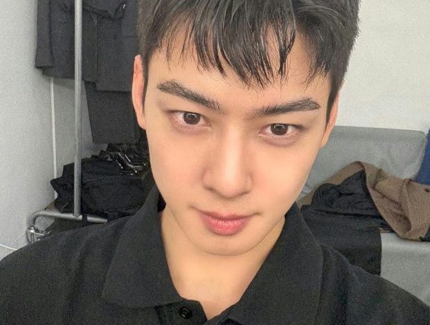 Cha Eun-woo enlistmentportrait' '' 'sian' 'man' 'blackpolo.