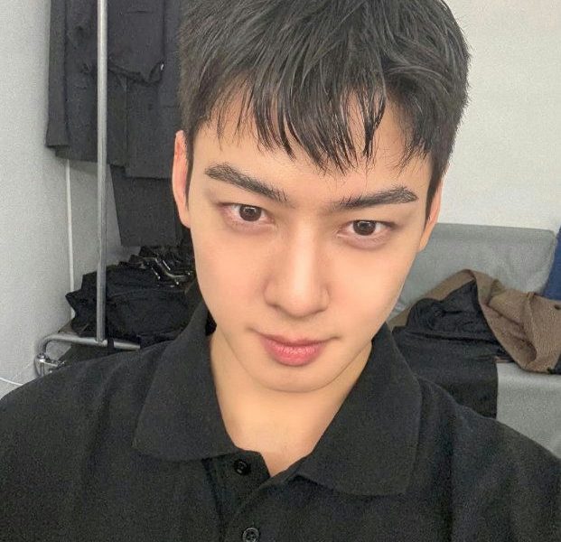 Cha Eun-woo enlistmentportrait' '' 'sian' 'man' 'blackpolo.
