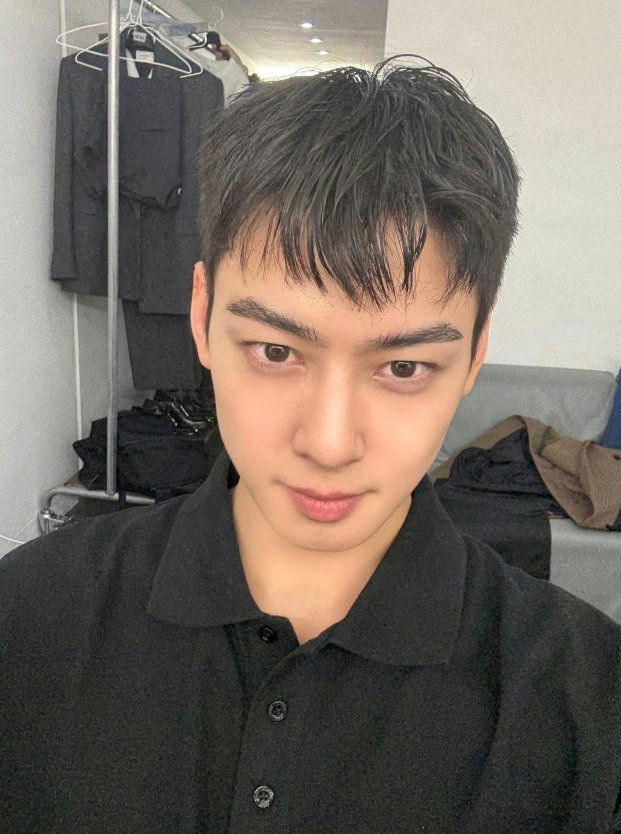 Cha Eun-woo enlistmentportrait' '' 'sian' 'man' 'blackpolo.