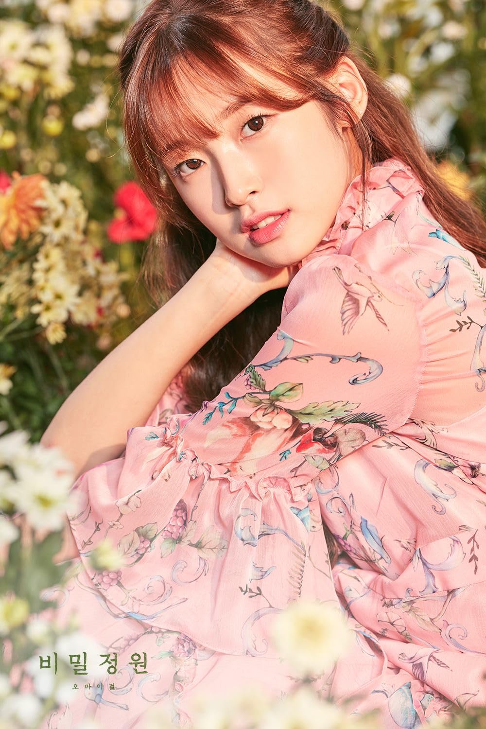 Arin Oh My Girl Secret Garden