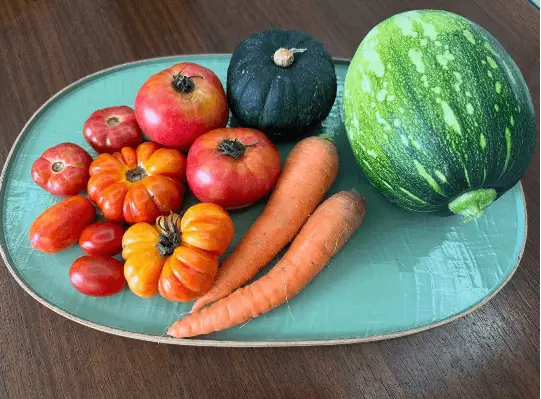 Son Ye-jin organic vegetablestomatoes' 'carrots' 'squash' 'tray.