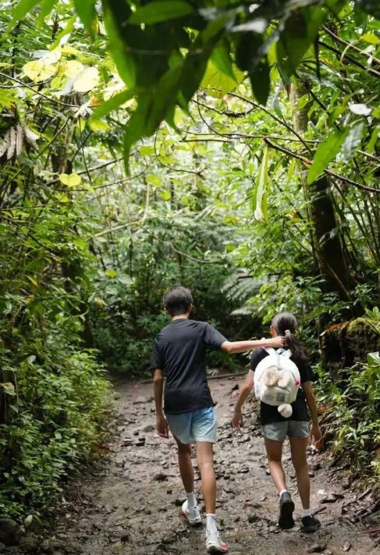 Sun Li family trekking' 'iking' '' 'hildren' '' 'ungle' '' 'rail.