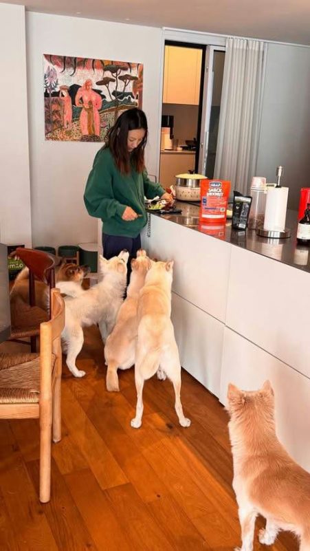 Lee Hyori dog bite surgerycooking' 'dogs' 'kitchen' 'woman.