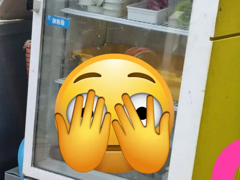 dog in fridge animal abuse korea