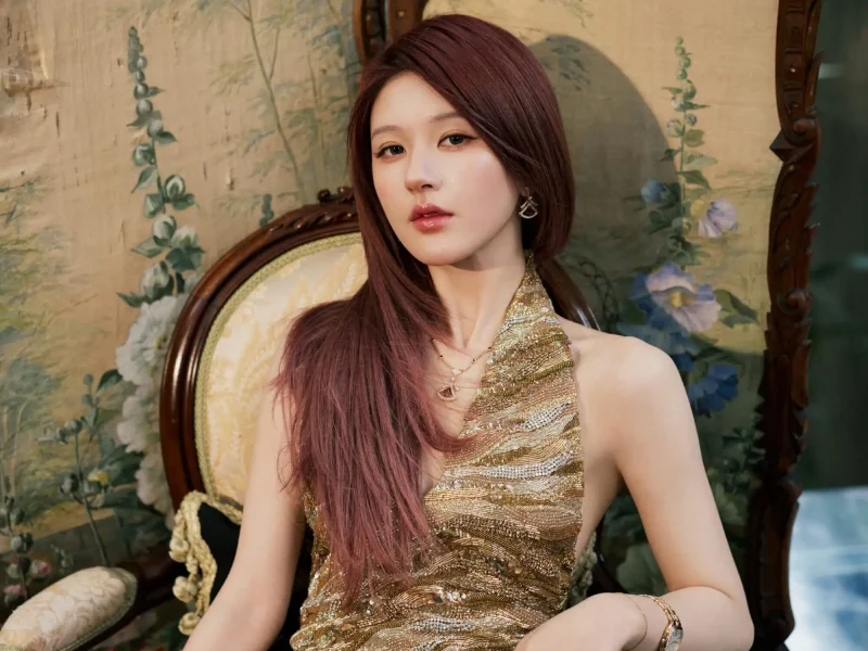 Zhao Lusi contract disputepeople' 'woman' 'dress' 'vintage' 'jewelry.