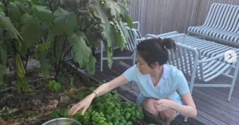 lee youngae humble life with husband
