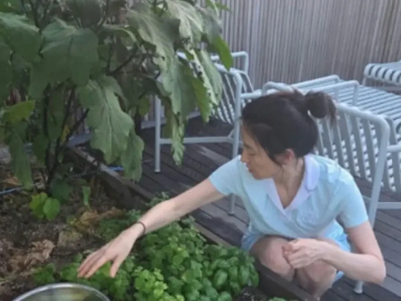 lee youngae humble life with husband