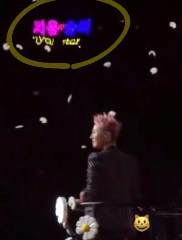 G-Dragon Seungri concert signspeople' '' '' '' 'ragon' 'pink' 'hair' 'concert' 'star.