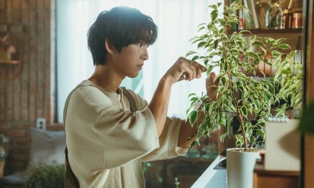 Song Joong-ki My Youth drama comebackperson' 'indoor' 'plant' 'caretending' 'daylight.